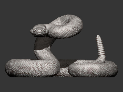 Rattlesnake Modelo de Impressão 3D