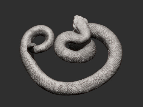 Rattlesnake Modelo de Impressão 3D