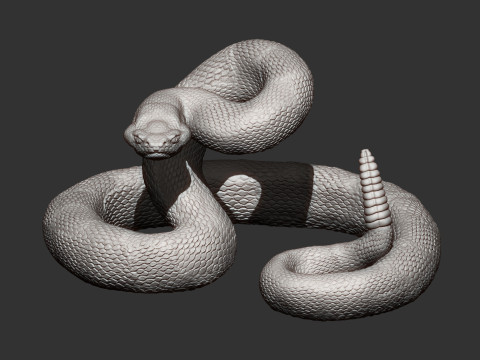 Rattlesnake Modelo de Impressão 3D