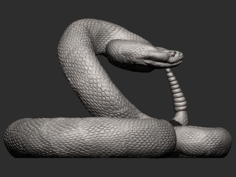 Rattlesnake Modelo de Impressão 3D