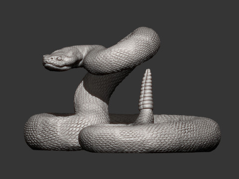 Rattlesnake Modelo de Impressão 3D
