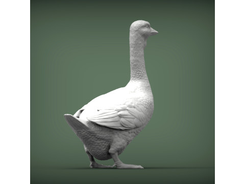 Goose 3D 打印模型