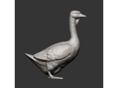Goose 3D 打印模型