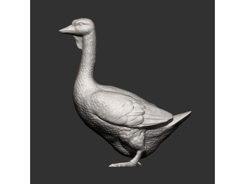 Goose 3D 打印模型