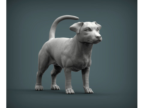 Jack Russell Terrier 3D Baskı Modeli