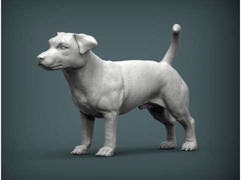 Jack Russell Terrier 3D 프린트 모델