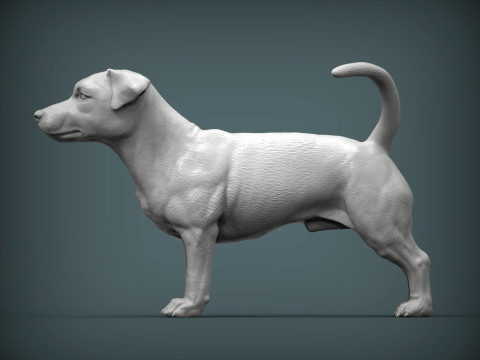 Jack Russell Terrier 3D 프린트 모델