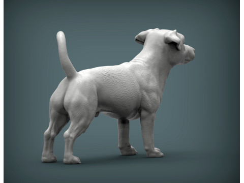 Jack Russell Terrier 3D 프린트 모델