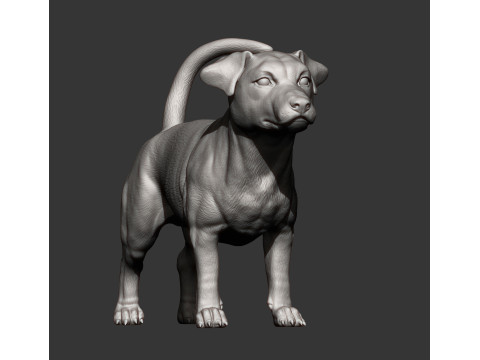 Jack Russell Terrier 3D 프린트 모델