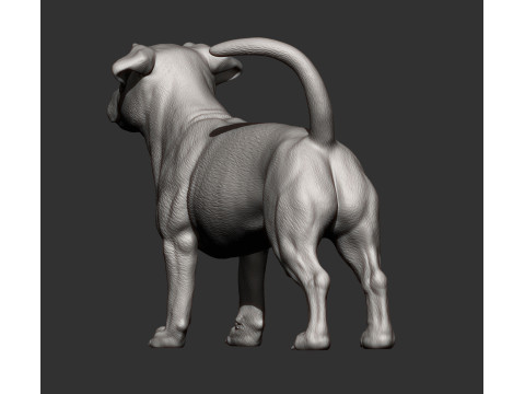 Jack Russell Terrier 3D 프린트 모델