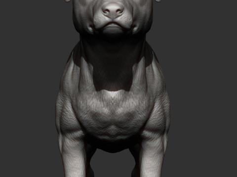 Jack Russell Terrier 3D 프린트 모델