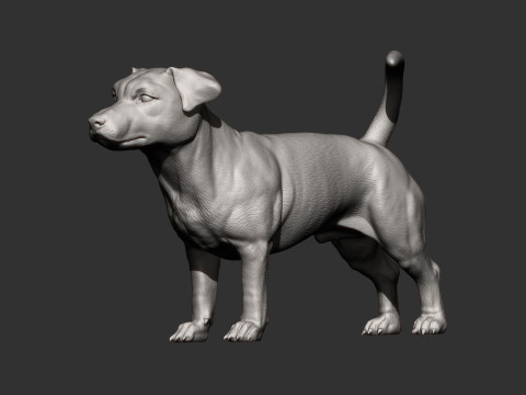 Jack Russell Terrier 3D 프린트 모델
