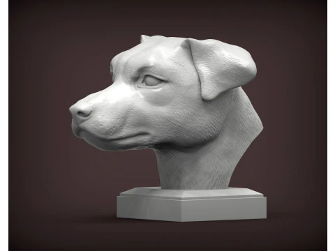 Jack Russell Terrier 3D Print Model