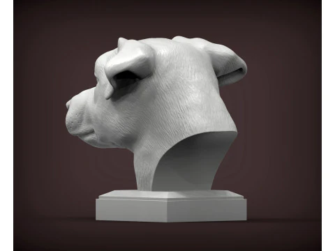 Jack Russell Terrier 3D Print Model