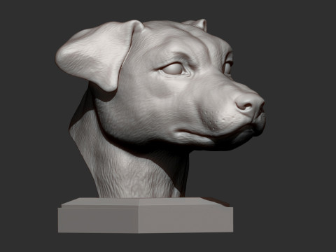 Jack Russell Terrier 3D 打印模型