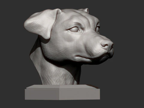 Jack Russell Terrier 3D Print Model