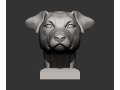 Jack Russell Terrier 3D 打印模型
