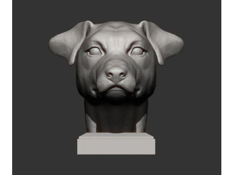 Jack Russell Terrier 3D Print Model