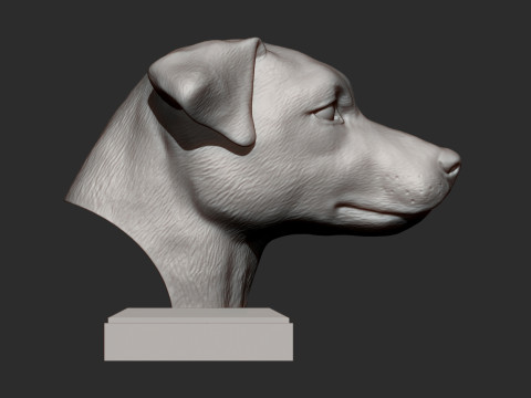 Jack Russell Terrier 3D 打印模型