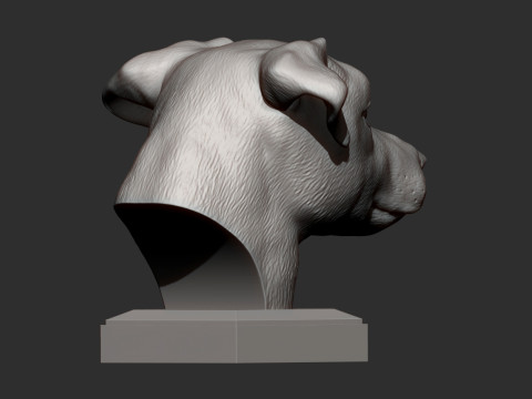 Jack Russell Terrier 3D 打印模型
