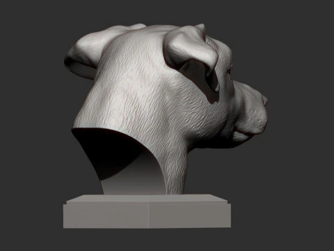 Jack Russell Terrier 3D Print Model
