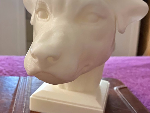 Jack Russell Terrier 3D 打印模型