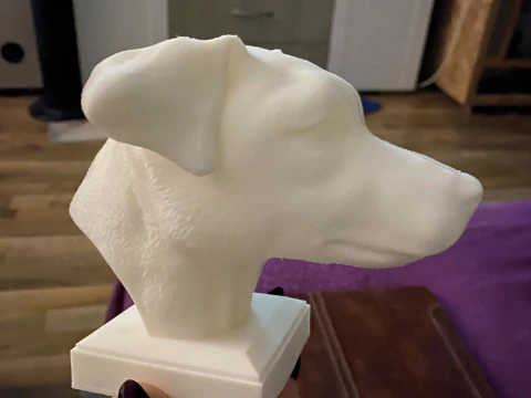 Jack Russell Terrier 3D Print Model
