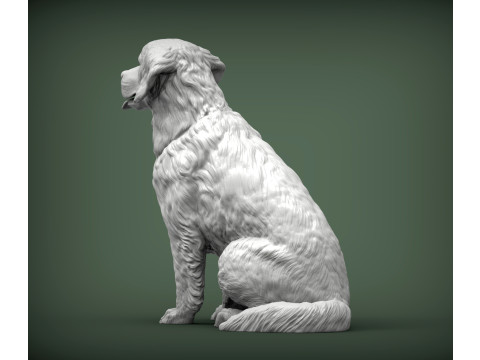 Golden retriever Model do druku 3D