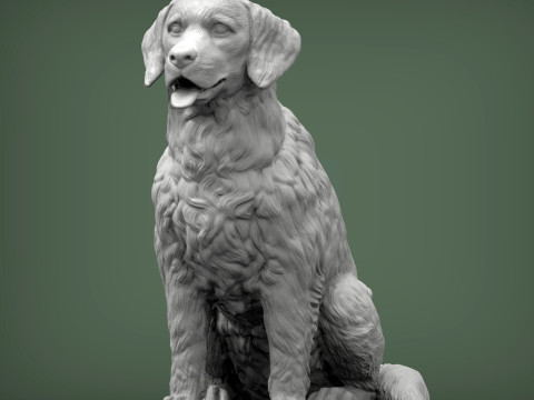 Golden retriever Model do druku 3D