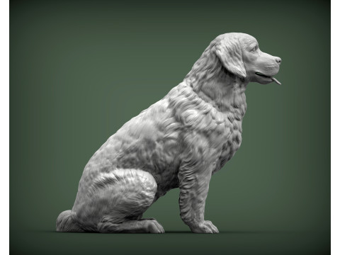 Golden retriever Model do druku 3D