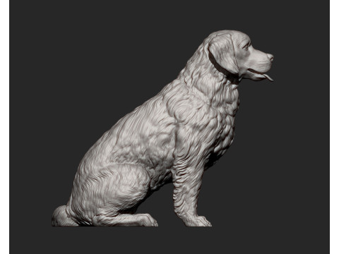 Golden retriever Model do druku 3D