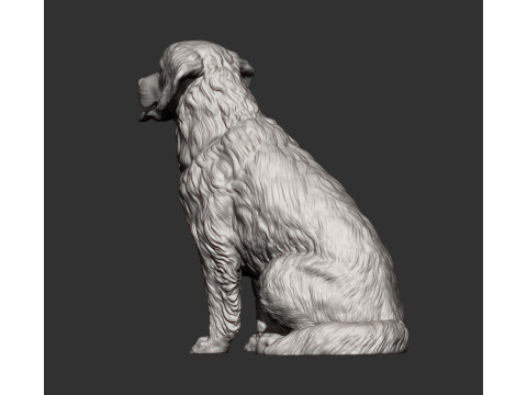 Golden retriever Model do druku 3D
