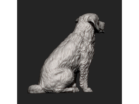 Golden retriever Model do druku 3D