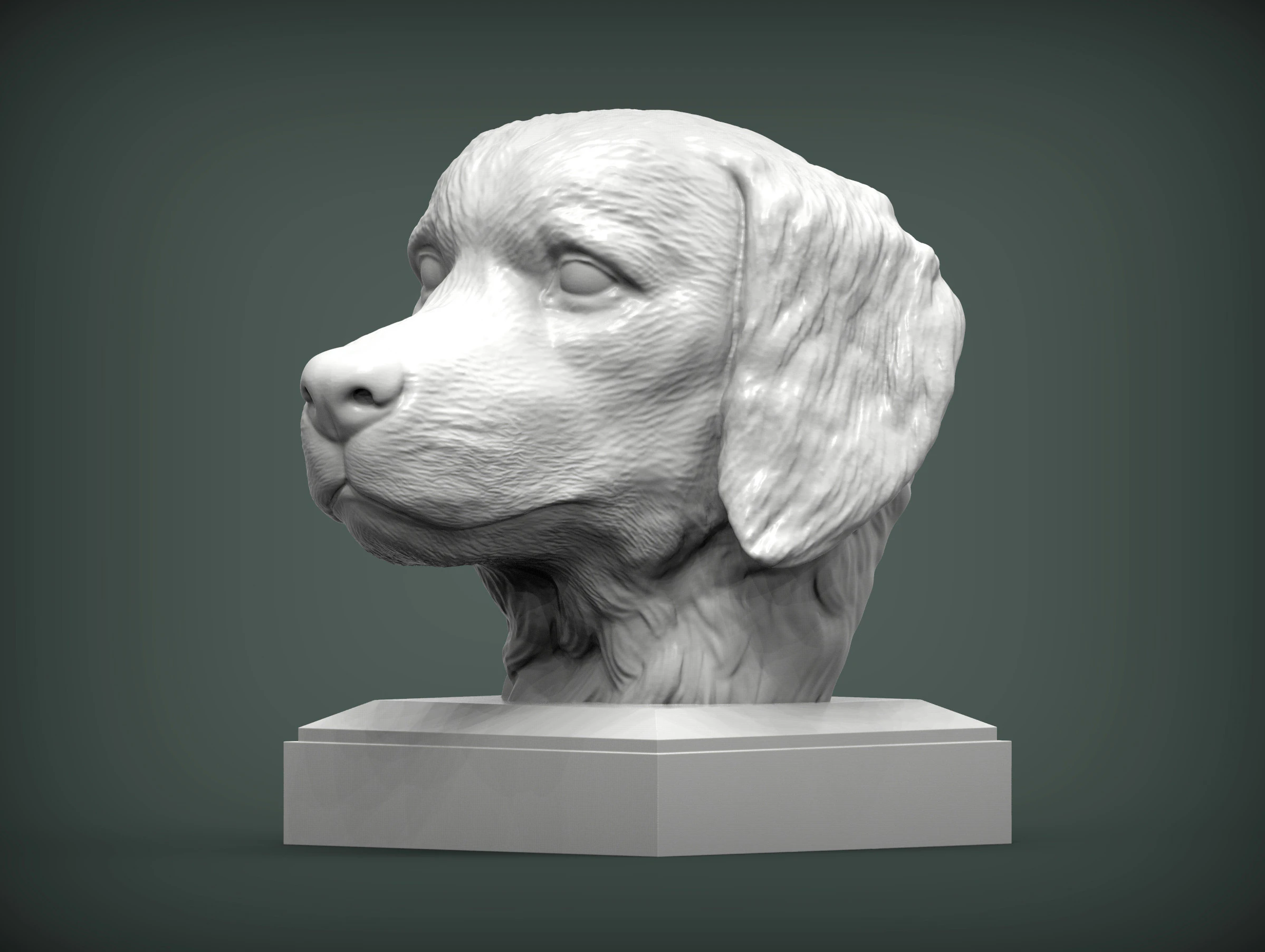 Golden retriever 3D Print Model .c4d .max .obj .3ds .fbx .stl .blend 
