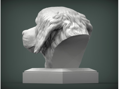 Golden retriever 3D 프린트 모델