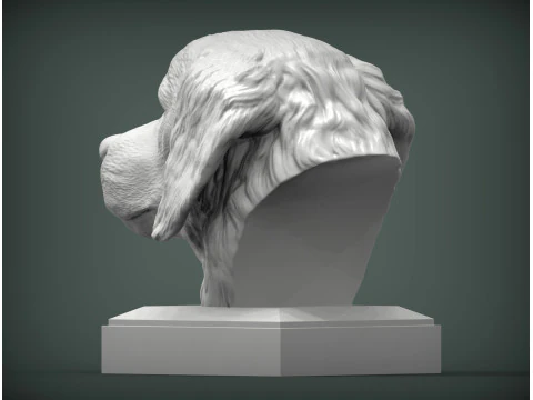 Golden retriever 3D Print Model