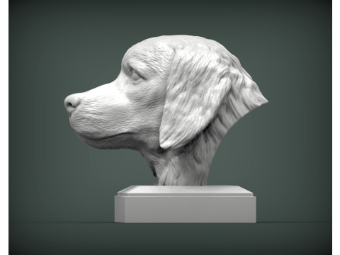 Golden retriever 3D 프린트 모델