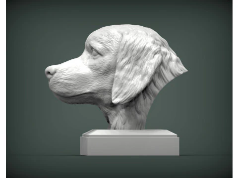 Golden retriever 3D Print Model
