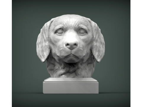 Golden retriever 3D 프린트 모델