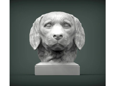 Golden retriever 3D Print Model