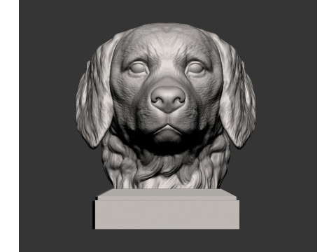 Golden retriever 3D 프린트 모델