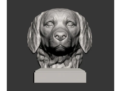 Golden retriever 3D Print Model