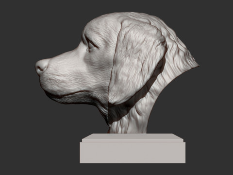Golden retriever 3D 프린트 모델