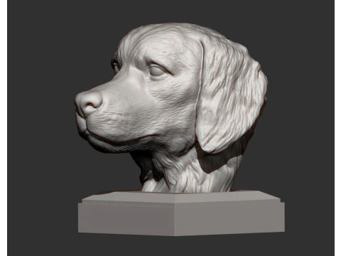 Golden retriever 3D Print Model