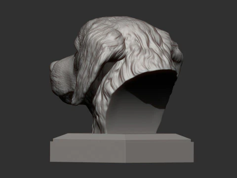 Golden retriever 3D Print Model