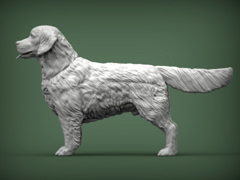 Golden retriever Modello di stampa 3D