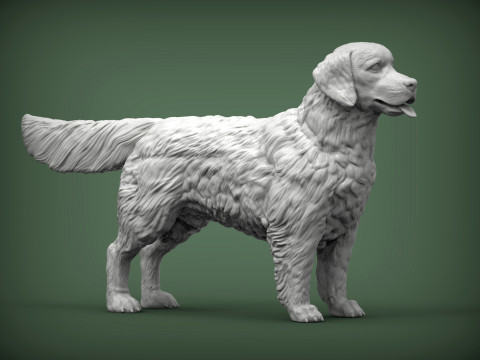 Golden retriever 3Dプリントモデル