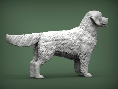 Golden retriever 3Dプリントモデル