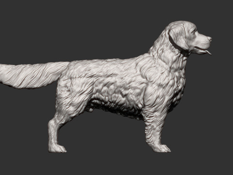 Golden retriever 3Dプリントモデル