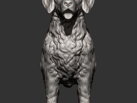 Golden retriever 3Dプリントモデル